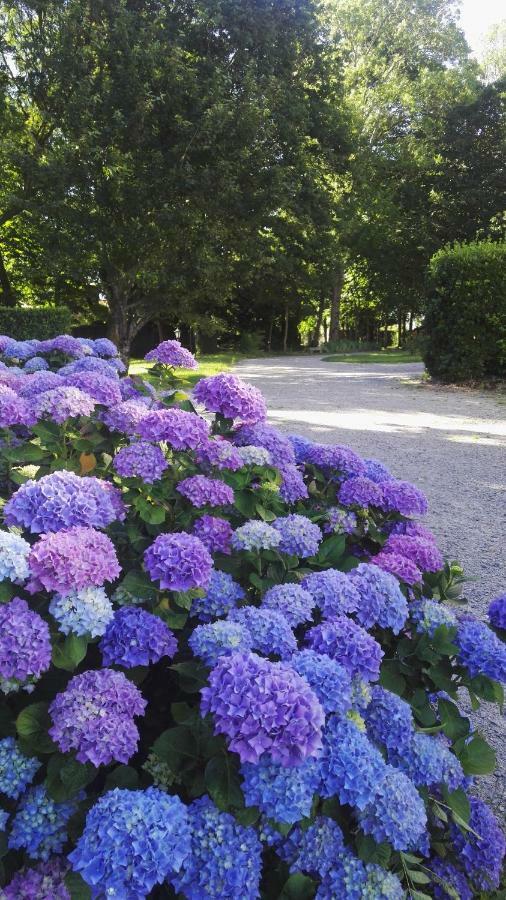 Domaine Du Plessis Grimaud Bed & Breakfast Saint-Viaud Exterior photo